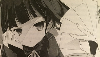 Illustration for article titled No Game No Life Vol. 1 - Light Novel Review